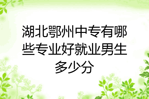 湖北鄂州中专有哪些专业好就业男生多少分