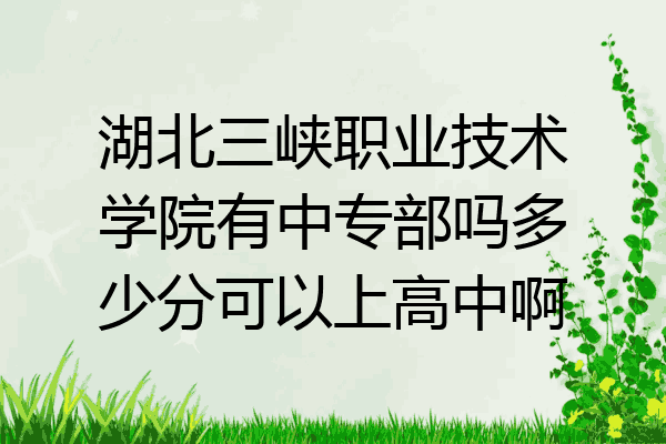 湖北三峡职业技术学院有中专部吗多少分可以上高中啊