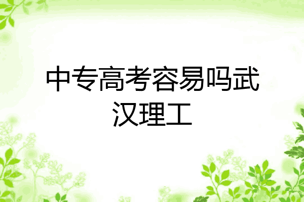 中专高考容易吗武汉理工