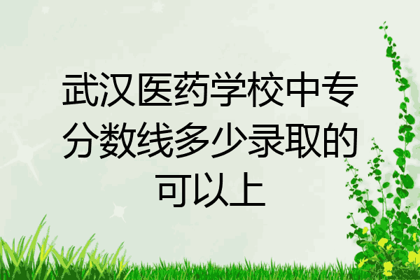 武汉医药学校中专分数线多少录取的可以上