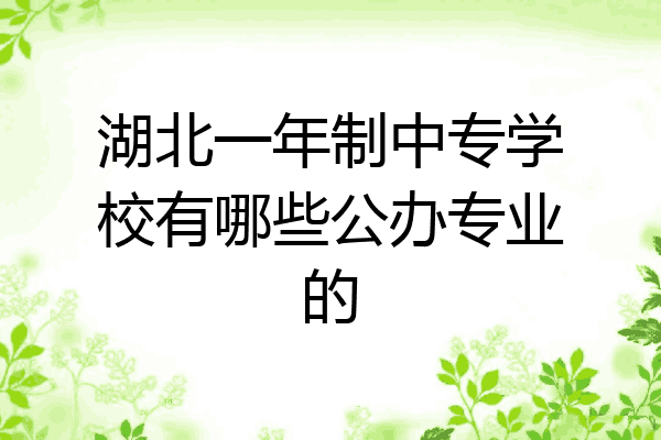 湖北一年制中专学校有哪些公办专业的