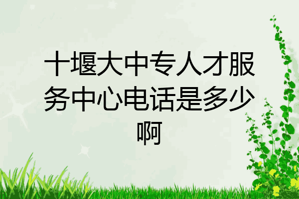 十堰大中专人才服务中心电话是多少啊
