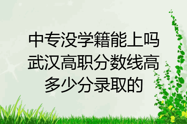 中专没学籍能上吗武汉高职分数线高多少分录取的