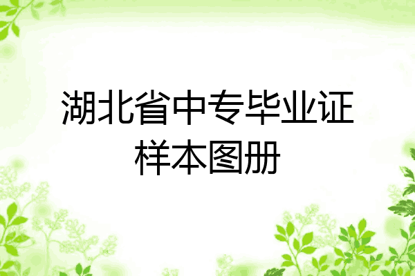 湖北省中专毕业证样本图册