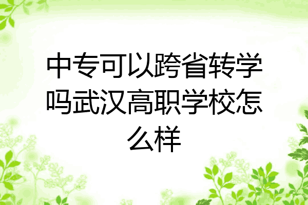 中专可以跨省转学吗武汉高职学校怎么样