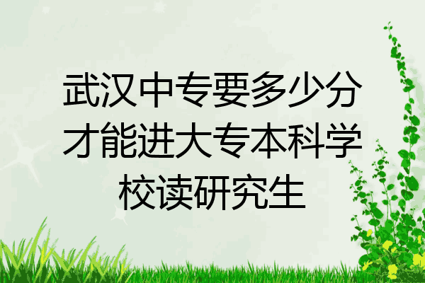 武汉中专要多少分才能进大专本科学校读研究生