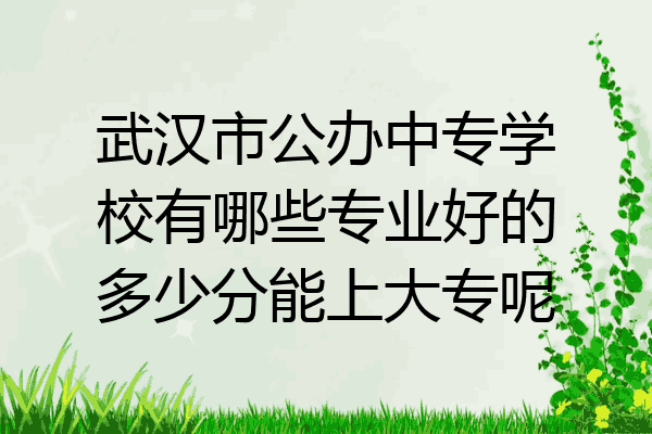 武汉市公办中专学校有哪些专业好的多少分能上大专呢