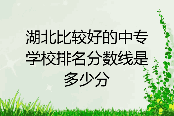 湖北比较好的中专学校排名分数线是多少分
