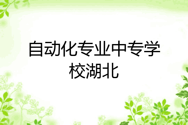 自动化专业中专学校湖北