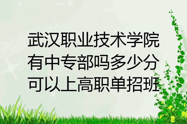 武汉职业技术学院有中专部吗多少分可以上高职单招班