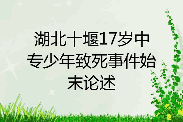 湖北十堰17岁中专少年致死事件始末论述