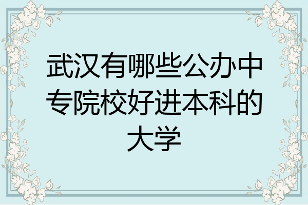 武汉有哪些公办中专院校好进本科的大学