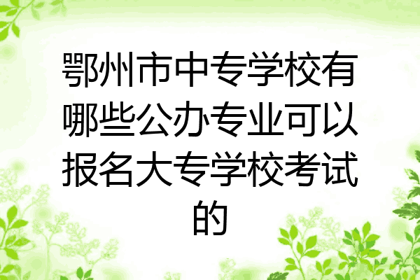 鄂州市中专学校有哪些公办专业可以报名大专学校考试的
