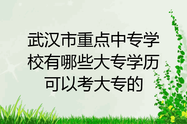 武汉市重点中专学校有哪些大专学历可以考大专的