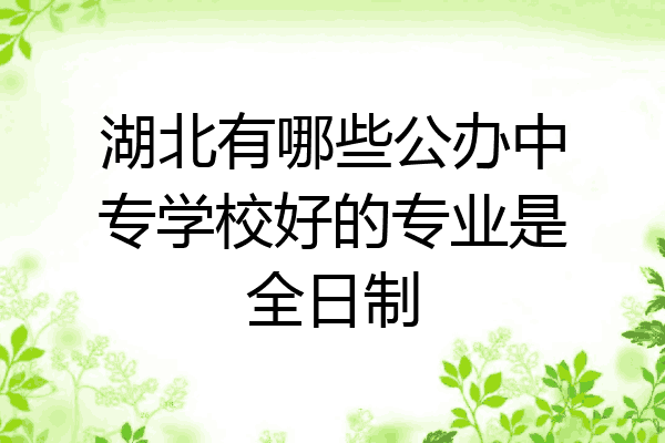 湖北有哪些公办中专学校好的专业是全日制