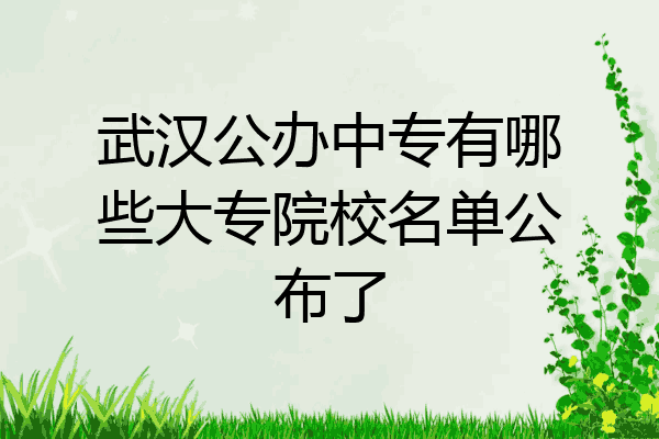 武汉公办中专有哪些大专院校名单公布了
