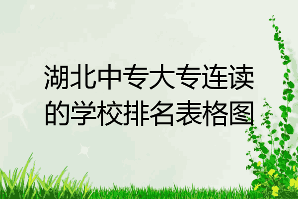 湖北中专大专连读的学校排名表格图