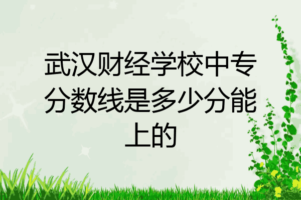 武汉财经学校中专分数线是多少分能上的