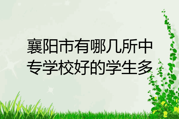 襄阳市有哪几所中专学校好的学生多
