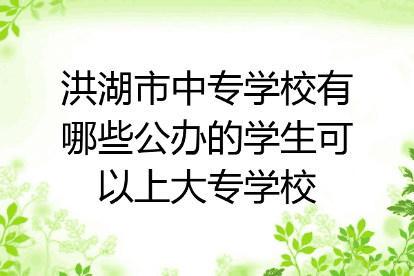 洪湖市中专学校有哪些公办的学生可以上大专学校
