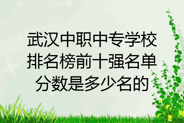 武汉中职中专学校排名榜前十强名单分数是多少名的