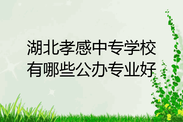 湖北孝感中专学校有哪些公办专业好