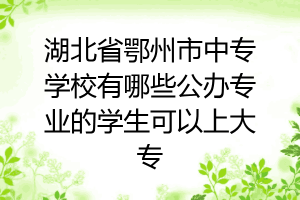 湖北省鄂州市中专学校有哪些公办专业的学生可以上大专