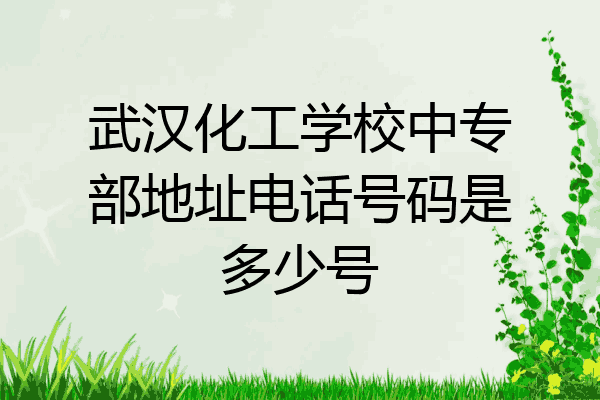 武汉化工学校中专部地址电话号码是多少号