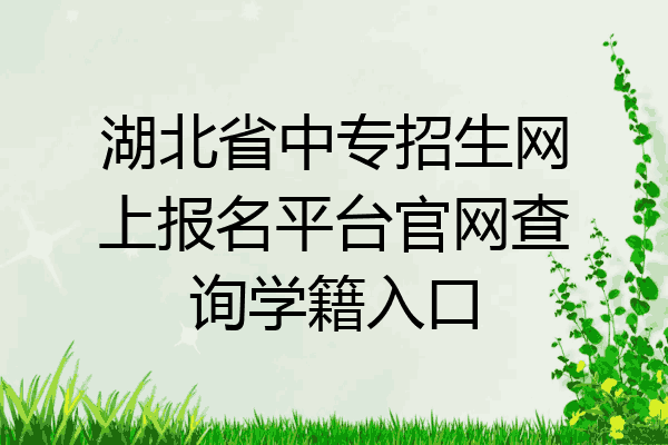 湖北省中专招生网上报名平台官网查询学籍入口