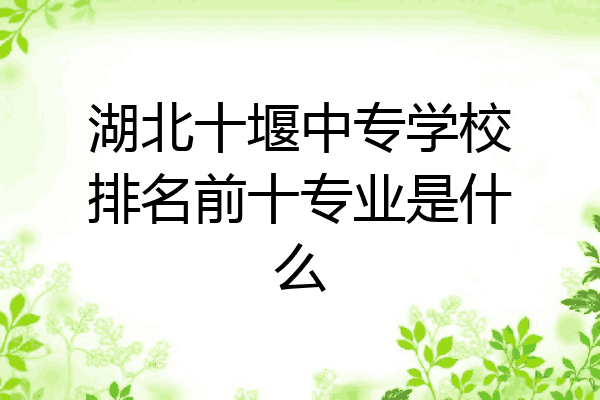 湖北十堰中专学校排名前十专业是什么
