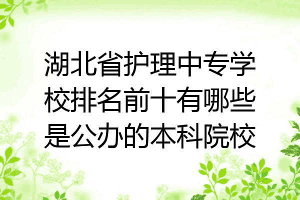湖北省护理中专学校排名前十有哪些是公办的本科院校