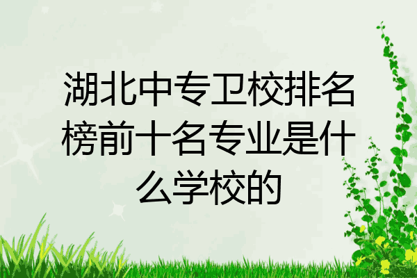 湖北中专卫校排名榜前十名专业是什么学校的