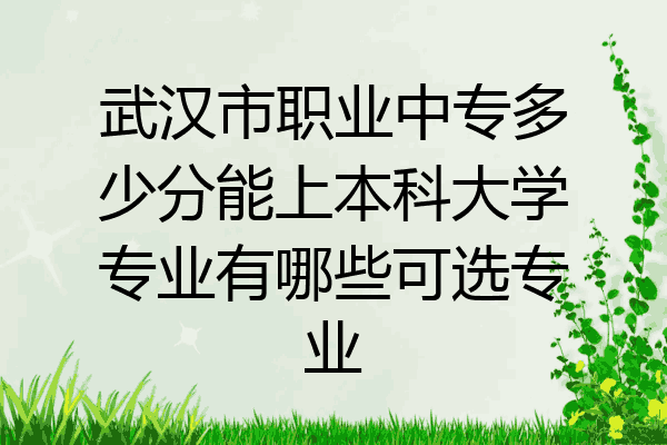武汉市职业中专多少分能上本科大学专业有哪些可选专业
