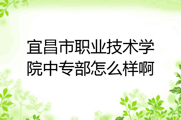 宜昌市职业技术学院中专部怎么样啊