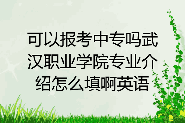 可以报考中专吗武汉职业学院专业介绍怎么填啊英语