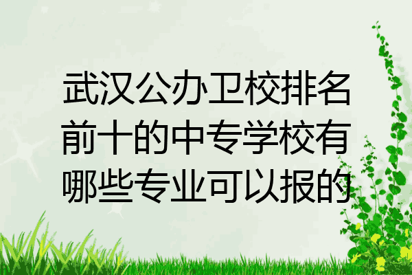 武汉公办卫校排名前十的中专学校有哪些专业可以报的