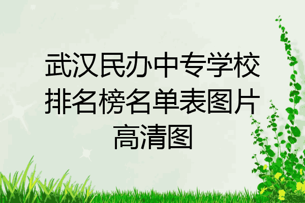 武汉民办中专学校排名榜名单表图片高清图