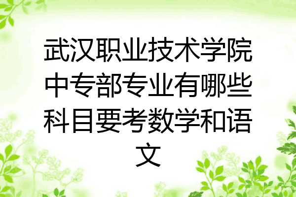 武汉职业技术学院中专部专业有哪些科目要考数学和语文