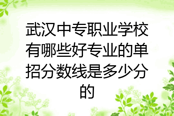 武汉中专职业学校有哪些好专业的单招分数线是多少分的