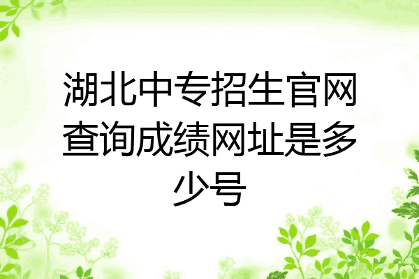湖北中专招生官网查询成绩网址是多少号