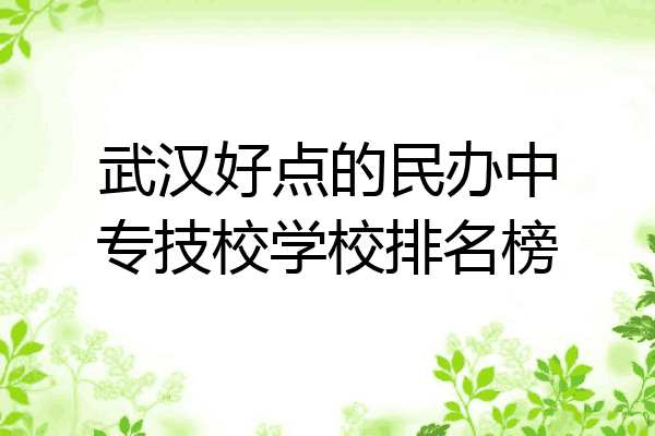 武汉好点的民办中专技校学校排名榜