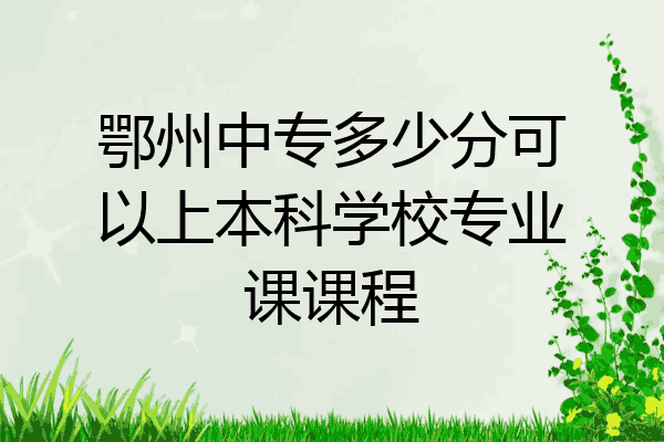 鄂州中专多少分可以上本科学校专业课课程