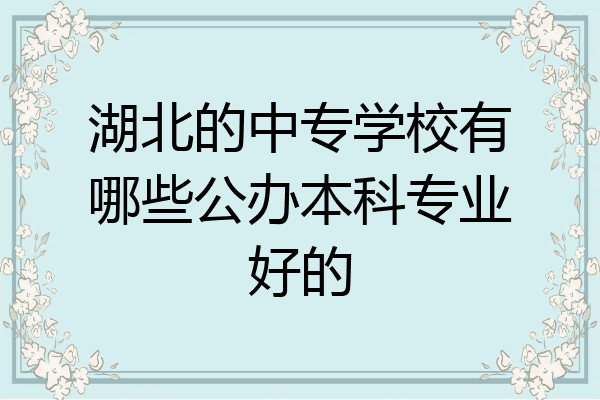 湖北的中专学校有哪些公办本科专业好的
