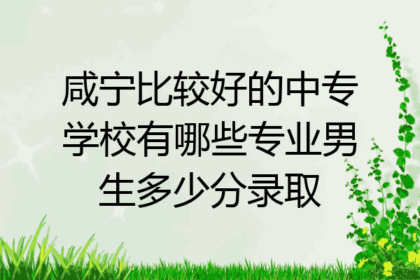 咸宁比较好的中专学校有哪些专业男生多少分录取
