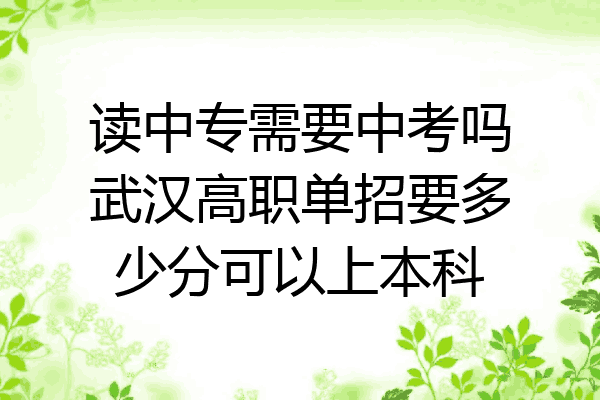 读中专需要中考吗武汉高职单招要多少分可以上本科