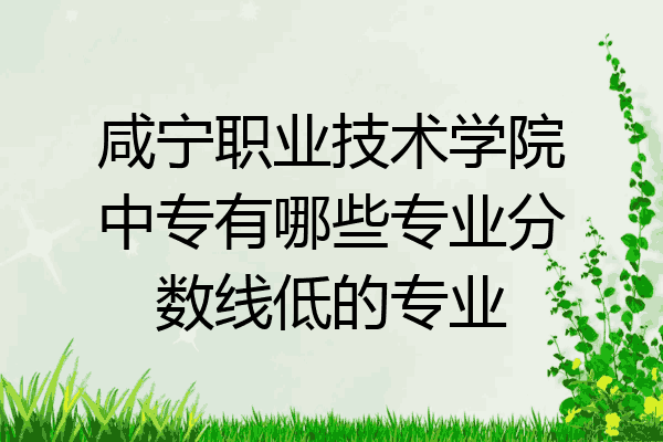 咸宁职业技术学院中专有哪些专业分数线低的专业