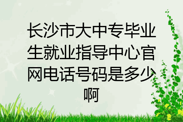 长沙市大中专毕业生就业指导中心官网电话号码是多少啊