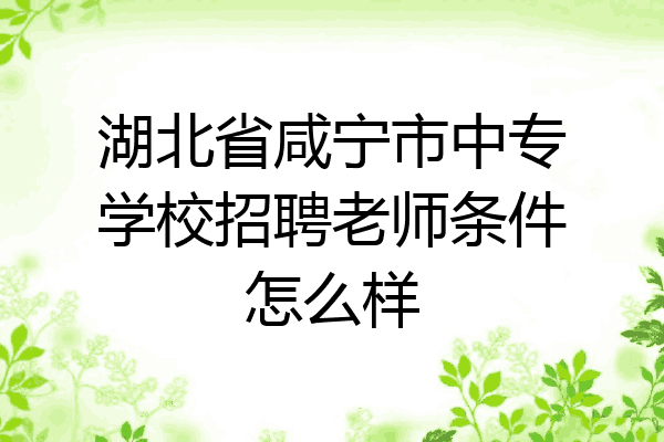 湖北省咸宁市中专学校招聘老师条件怎么样