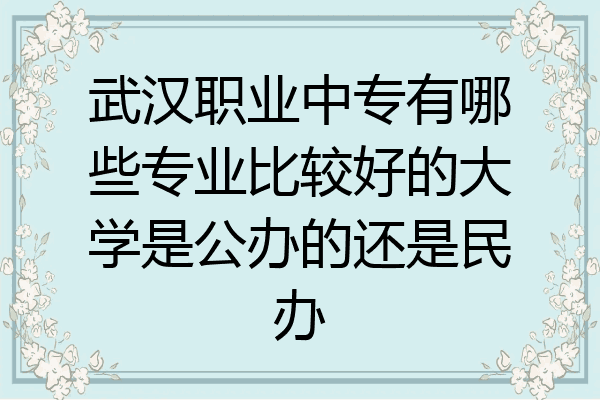 武汉职业中专有哪些专业比较好的大学是公办的还是民办