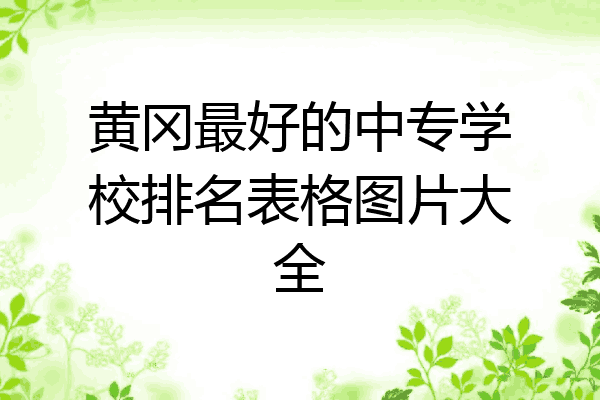黄冈最好的中专学校排名表格图片大全